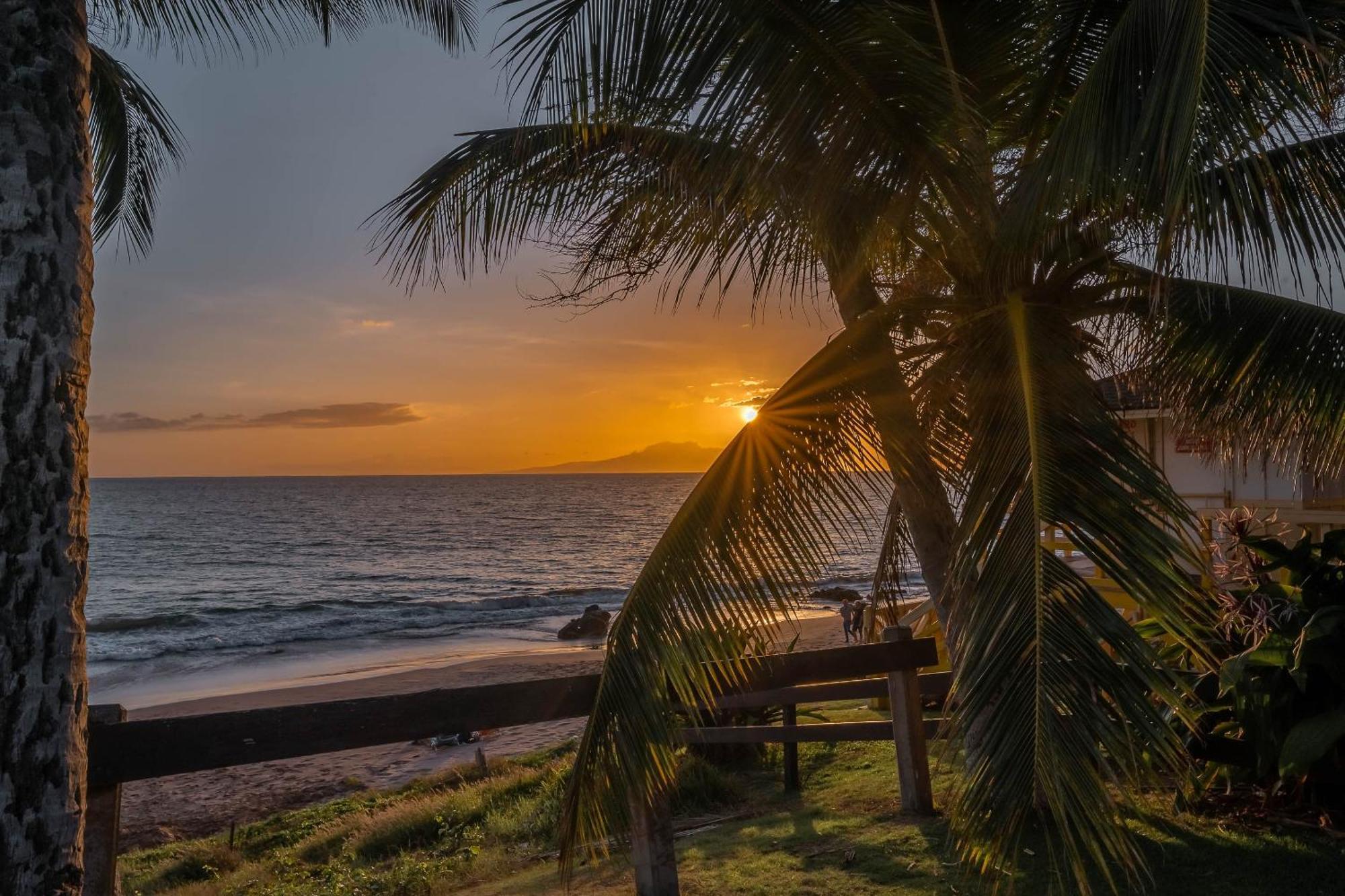 Maui Banyan Q-109 Daire Wailea  Dış mekan fotoğraf